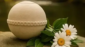 Urna biodegradable junto a flores blancas para homenaje verde junto al agua